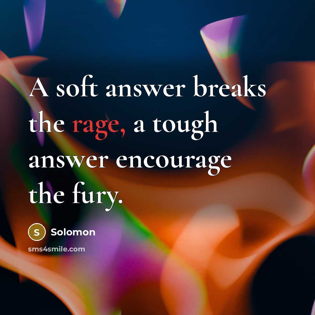 “A soft answer breaks the rage, a tough answer encourage the fury.” quote by Solomon