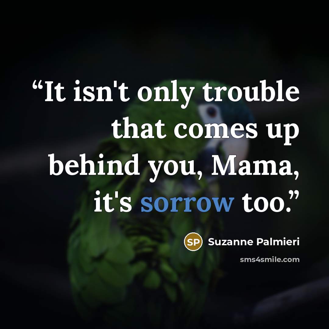 “It isn't only trouble that comes up behind you, Mama, it's sorrow too.” quote by Suzanne Palmieri