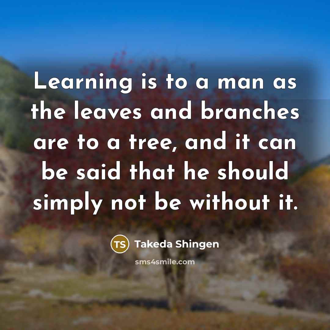 “Learning is to a man as the leaves and branches are to a tree, and it can be said that he should simply not be without it.” quote by Takeda Shingen