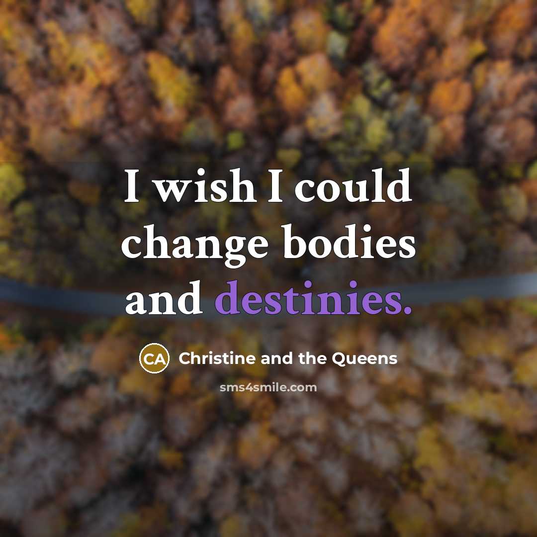 “I wish I could change bodies and destinies.” quote by Christine and the Queens