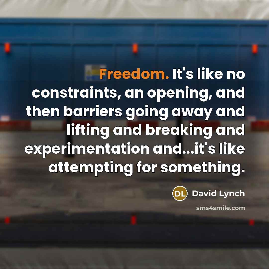 “Freedom. It's like no constraints, an opening, and then barriers going away and lifting and breaking and experimentation and...it's like attempting for something.” quote by David Lynch