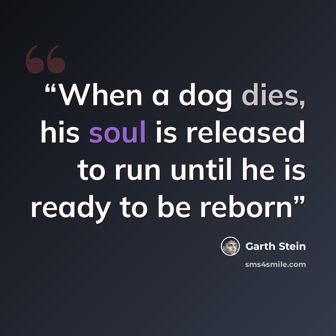 “When a dog dies, his soul is released to run until he is ready to be reborn” quote by Garth Stein