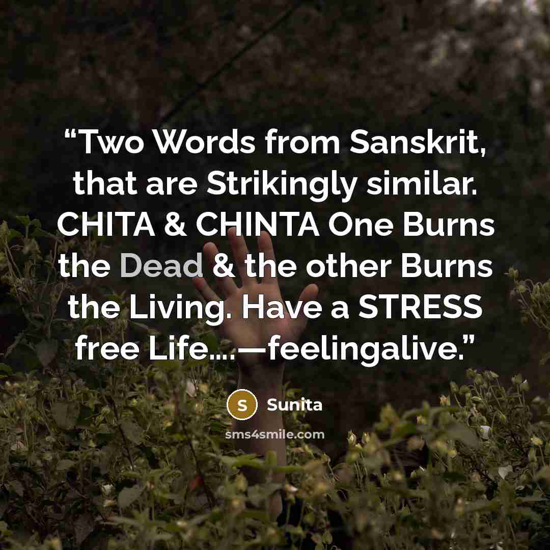 “Two Words from Sanskrit, that are Strikingly similar. CHITA & CHINTA One Burns the Dead & the other Burns the Living. Have a STRESS free Life….—feelingalive.” quote by Sunita
