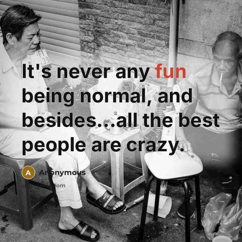 “It's never any fun being normal, and besides...all the best people are crazy.” quote by Anonymous