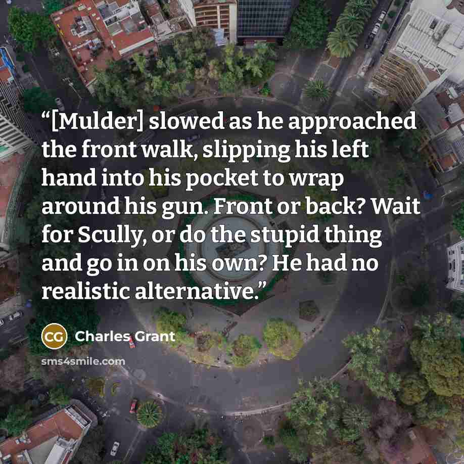 “[Mulder] slowed as he approached the front walk, slipping his left hand into his pocket to wrap around his gun. Front or back? Wait for Scully, or do the stupid thing and go in on his own? He had no realistic alternative.” quote by Charles Grant