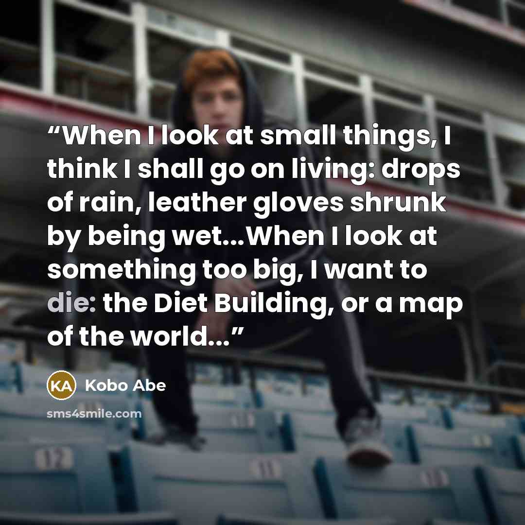 “When I look at small things, I think I shall go on living: drops of rain, leather gloves shrunk by being wet...When I look at something too big, I want to die: the Diet Building, or a map of the world...” quote by Kobo Abe