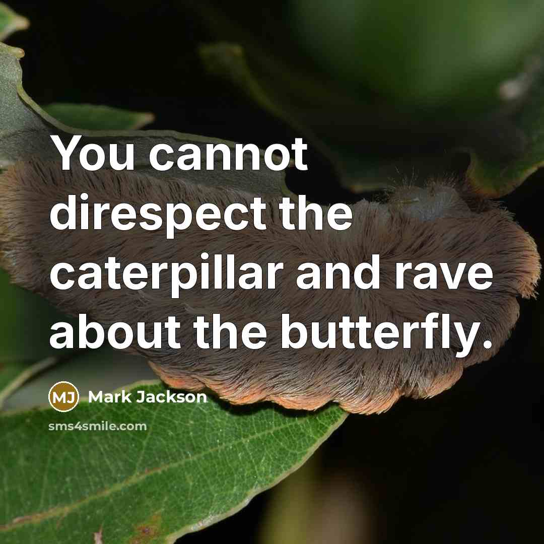 “You cannot direspect the caterpillar and rave about the butterfly.” quote by Mark Jackson