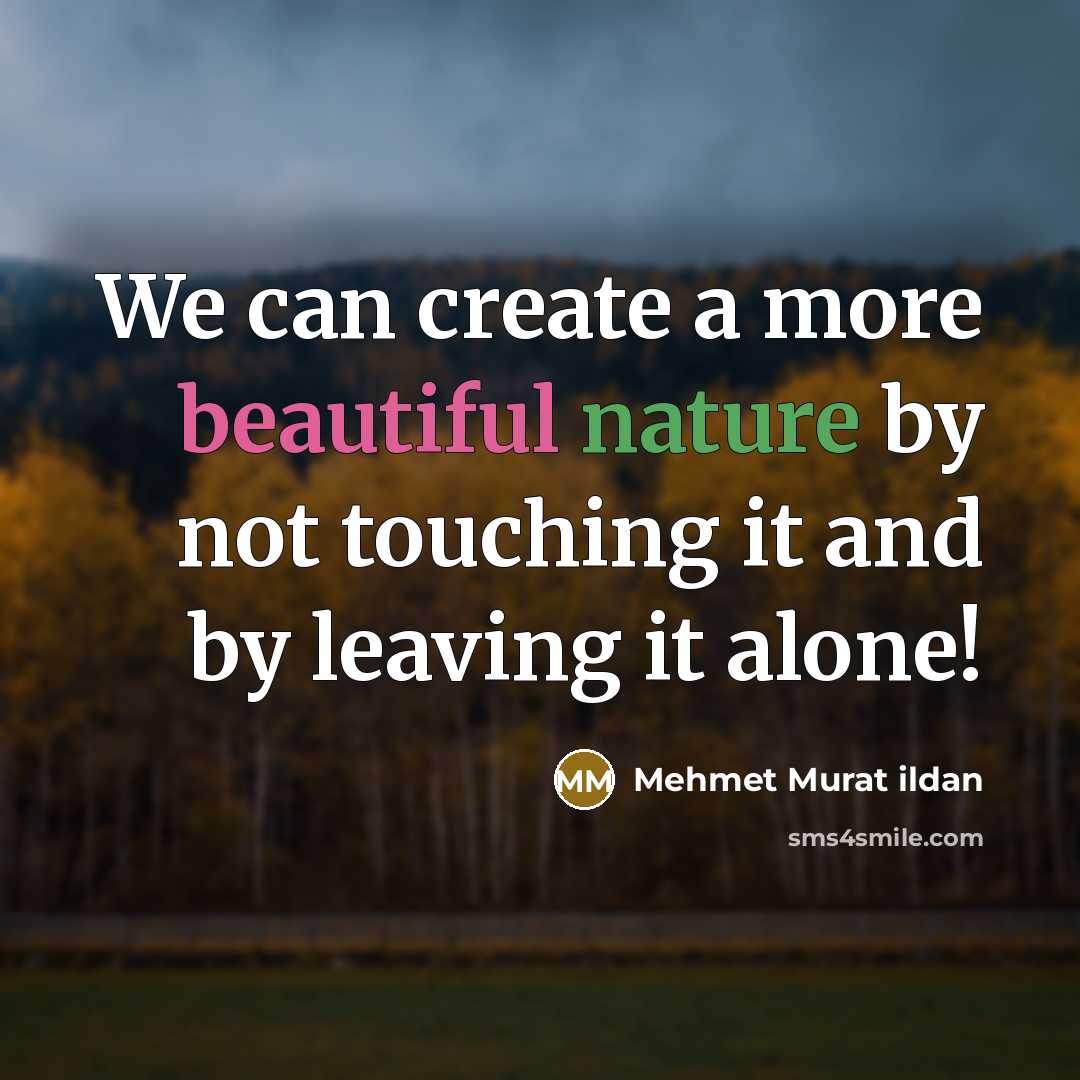 “We can create a more beautiful nature by not touching it and by leaving it alone!” quote by Mehmet Murat Ildan