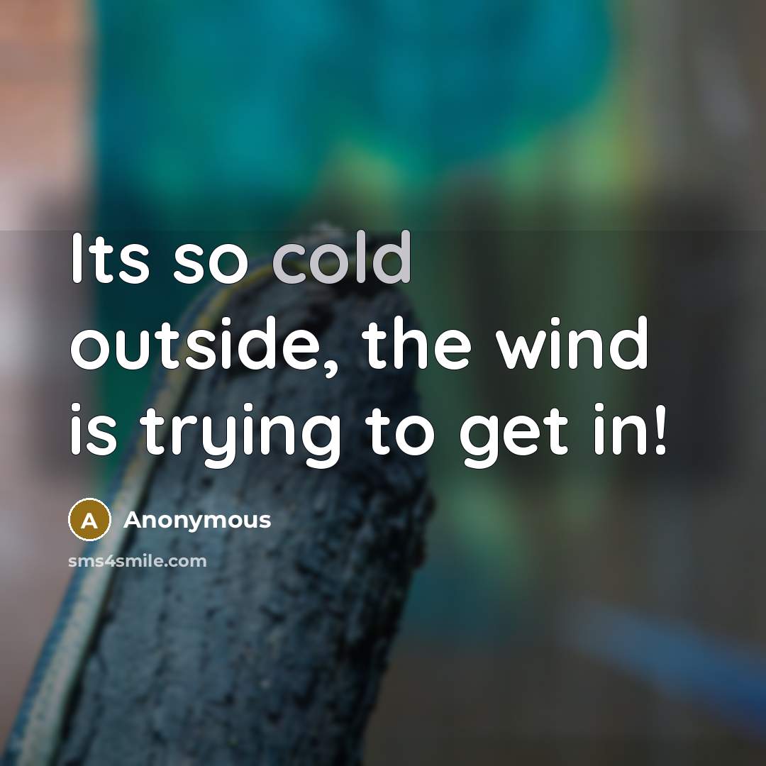 “Its so cold outside, the wind is trying to get in!” quote by Anonymous