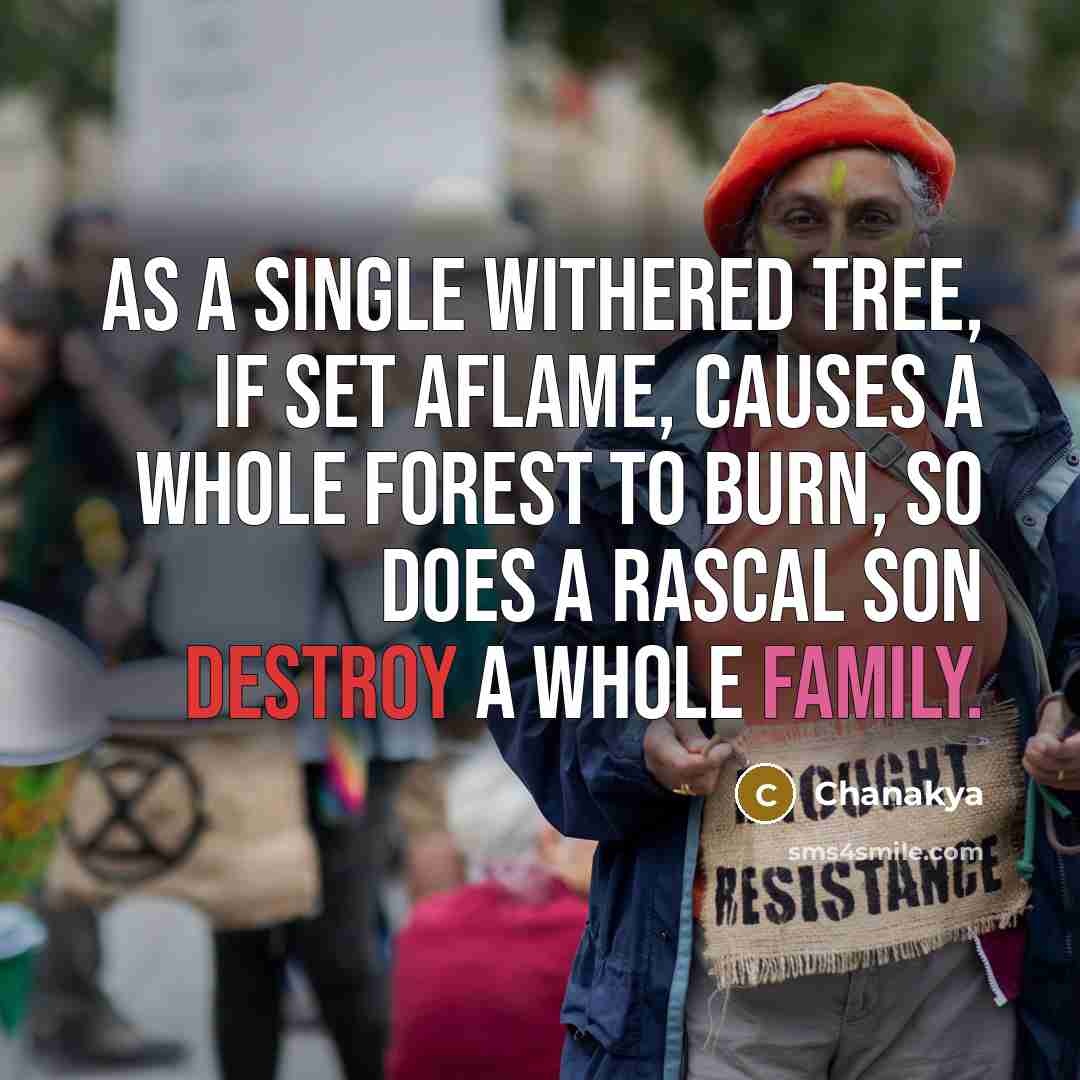 “As a single withered tree, if set aflame, causes a whole forest to burn, so does a rascal son destroy a whole family.” quote by Chanakya