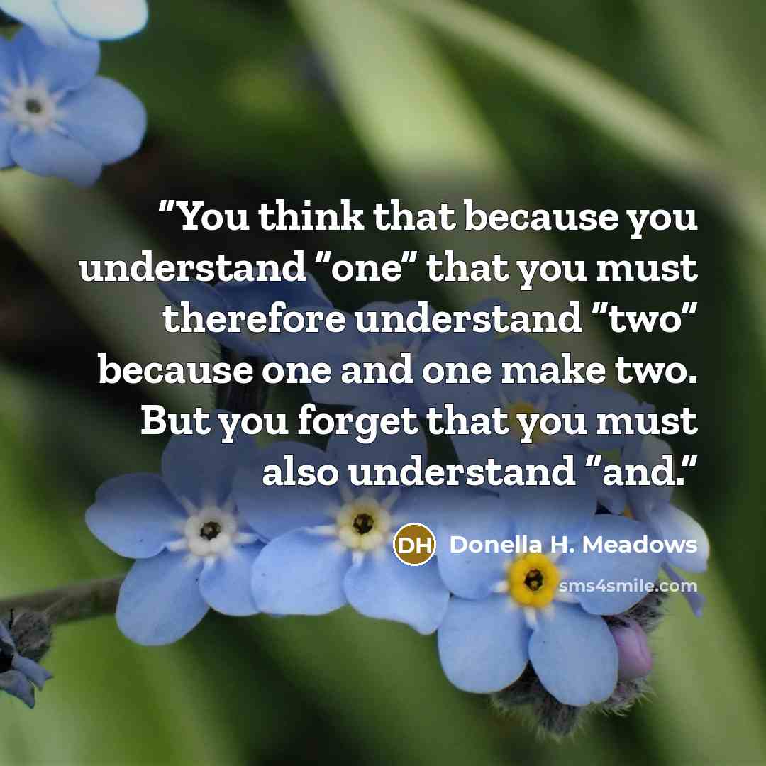 “You think that because you understand “one” that you must therefore understand “two” because one and one make two. But you forget that you must also understand “and.” quote by Donella H. Meadows