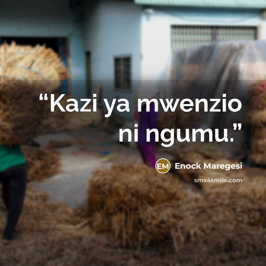 “Kazi ya mwenzio ni ngumu.” quote by Enock Maregesi