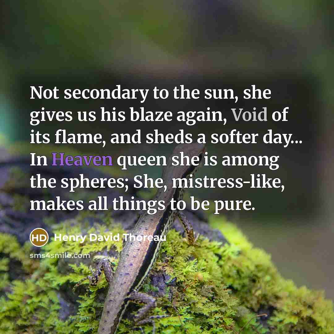 “Not secondary to the sun, she gives us his blaze again, Void of its flame, and sheds a softer day... In Heaven queen she is among the spheres; She, mistress-like, makes all things to be pure.” quote by Henry David Thoreau