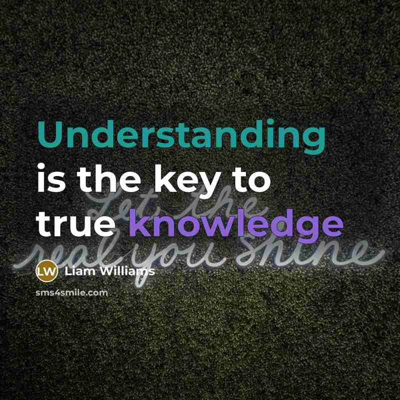 “Understanding is the key to true knowledge” quote by Liam Williams