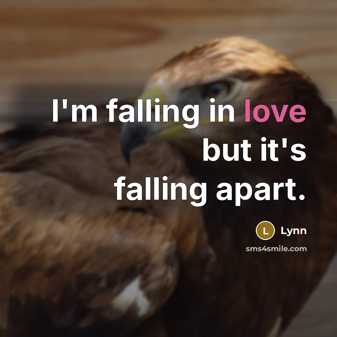 “I'm falling in love but it's falling apart.” quote by Lynn