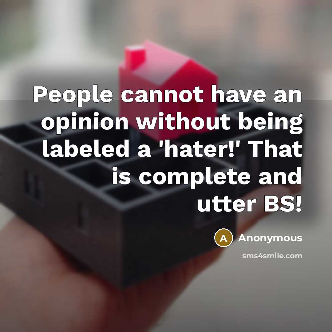 “People cannot have an opinion without being labeled a 'hater!' That is complete and utter BS!” quote by Anonymous