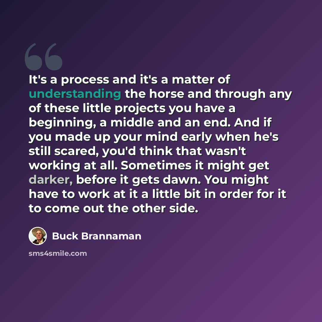 “It's a process and it's a matter of understanding the horse and through any of these little projects you have a beginning, a middle and an end. And if you made up your mind early when he's still scared, you'd think that wasn't working at all. Sometimes it might get darker, before it gets dawn. You…” quote by Buck Brannaman