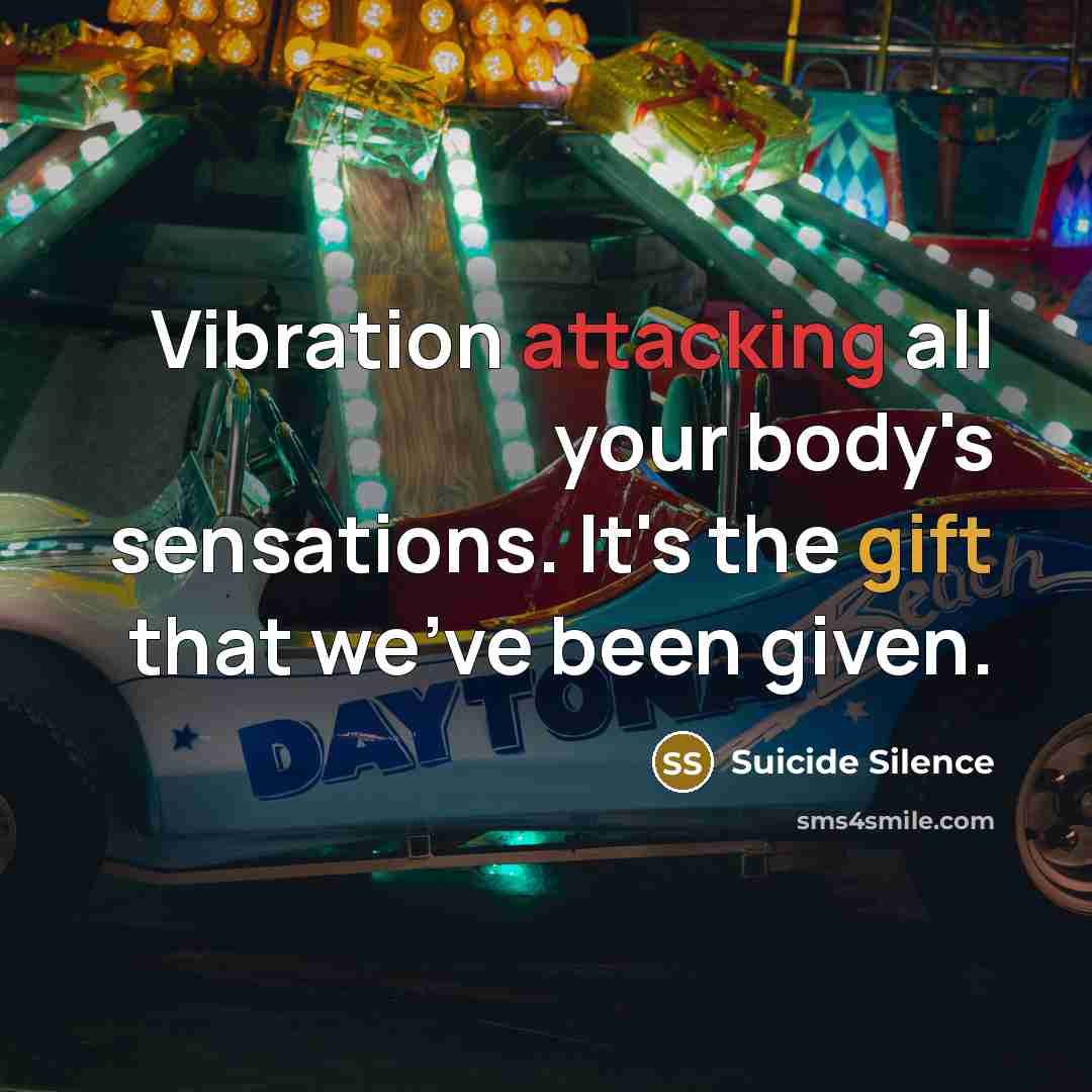 “Vibration attacking all your body's sensations. It's the gift that we've been given.” quote by Suicide Silence