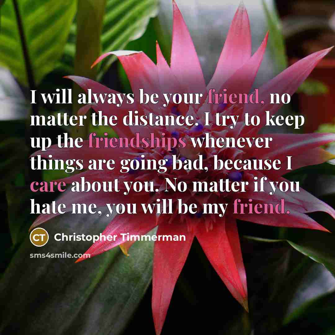 “I will always be your friend, no matter the distance. I try to keep up the friendships whenever things are going bad, because I care about you. No matter if you hate me, you will be my friend.” quote by Christopher Timmerman