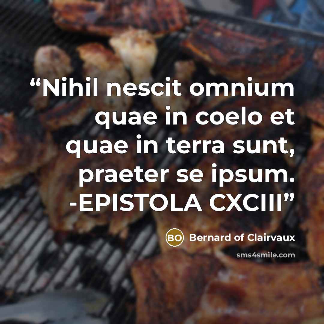 “Nihil nescit omnium quae in coelo et quae in terra sunt, praeter se ipsum. -EPISTOLA CXCIII” quote by Bernard of Clairvaux