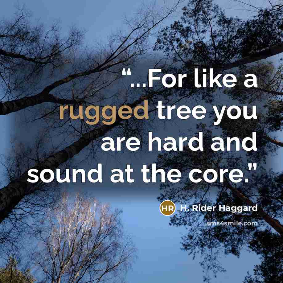 “...For like a rugged tree you are hard and sound at the core.” quote by H. Rider Haggard