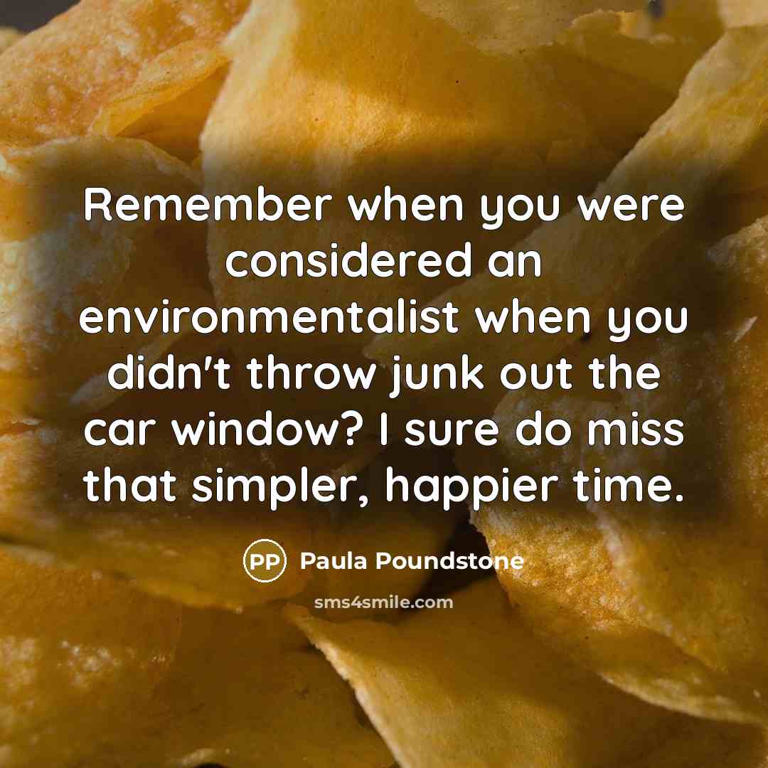 “Remember when you were considered an environmentalist when you didn't throw junk out the car window? I sure do miss that simpler, happier time.” quote by Paula Poundstone