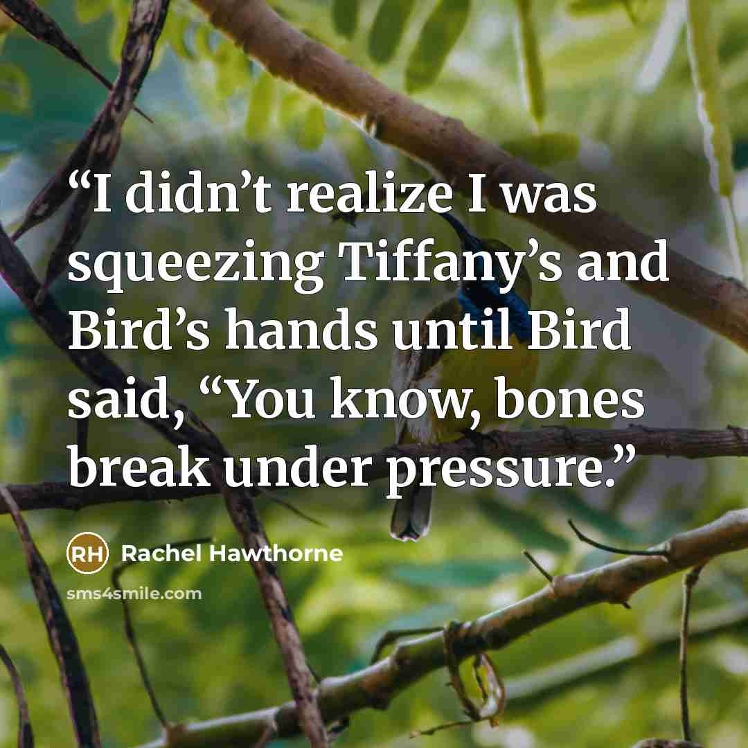 “I didn’t realize I was squeezing Tiffany’s and Bird’s hands until Bird said, “You know, bones break under pressure.” quote by Rachel Hawthorne