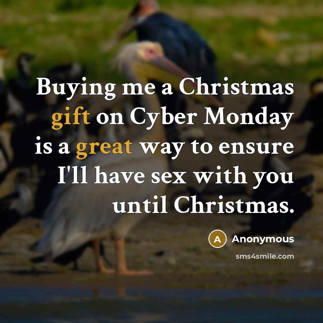 “Buying me a Christmas gift on Cyber Monday is a great way to ensure I'll have sex with you until Christmas.” quote by Anonymous
