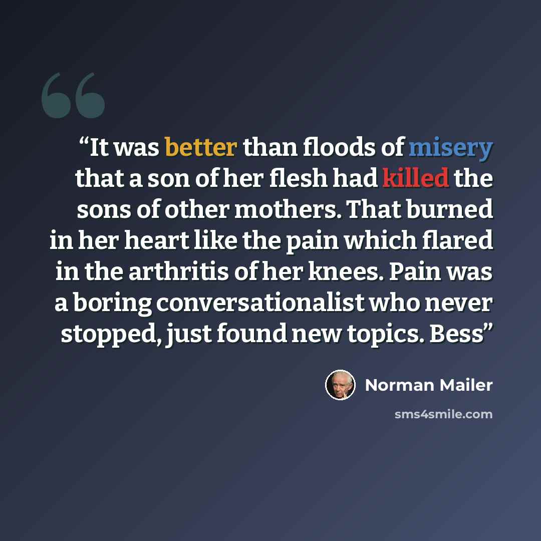 “It was better than floods of misery that a son of her flesh had killed the sons of other mothers. That burned in her heart like the pain which flared in the arthritis of her knees. Pain was a boring conversationalist who never stopped, just found new topics. Bess” quote by Norman Mailer