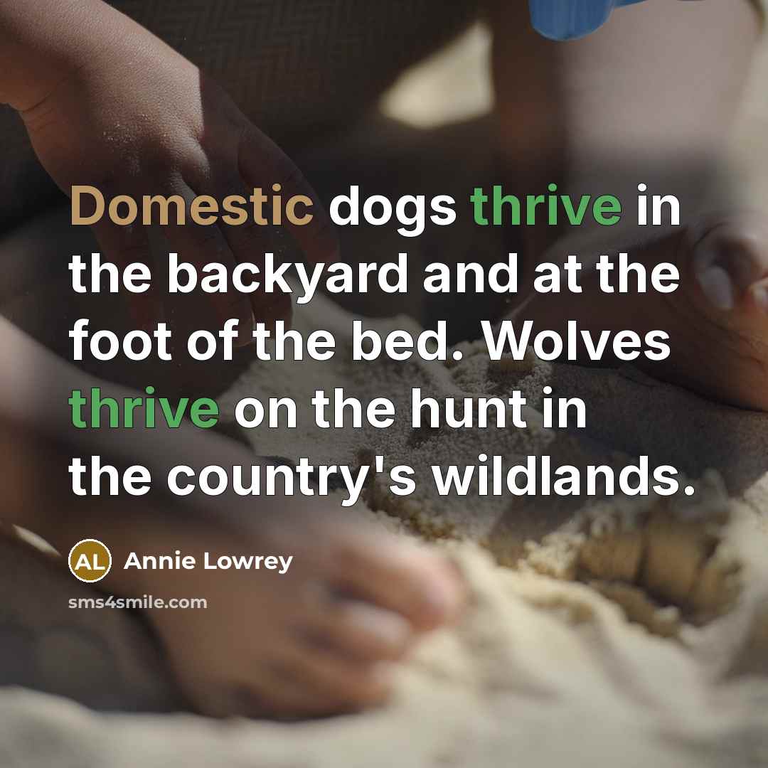 “Domestic dogs thrive in the backyard and at the foot of the bed. Wolves thrive on the hunt in the country's wildlands.” quote by Annie Lowrey