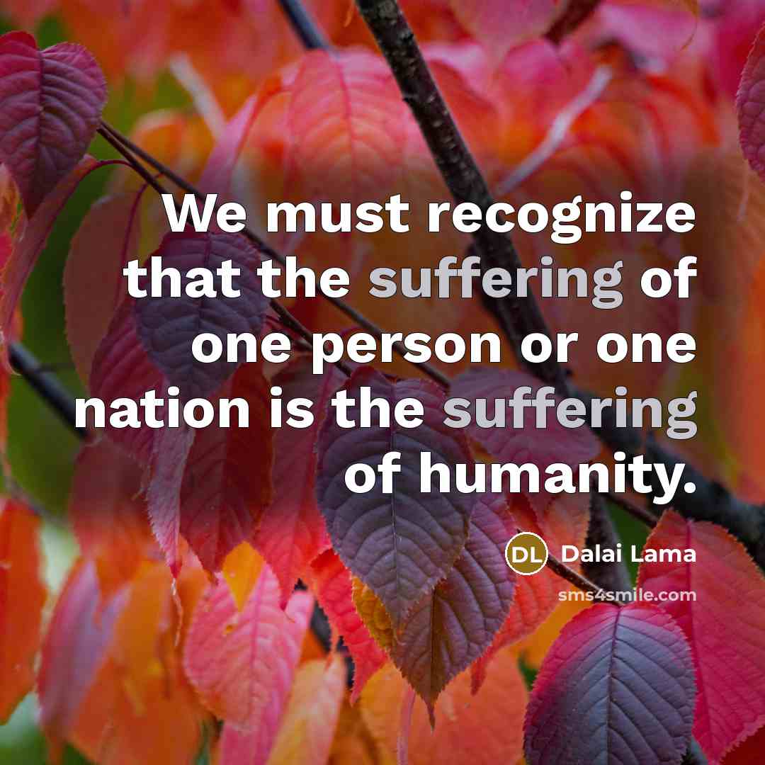 “We must recognize that the suffering of one person or one nation is the suffering of humanity.” quote by Dalai Lama