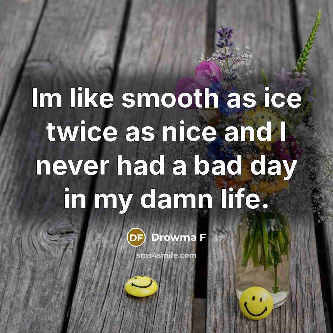 “Im like smooth as ice twice as nice and I never had a bad day in my damn life.” quote by Drowma F