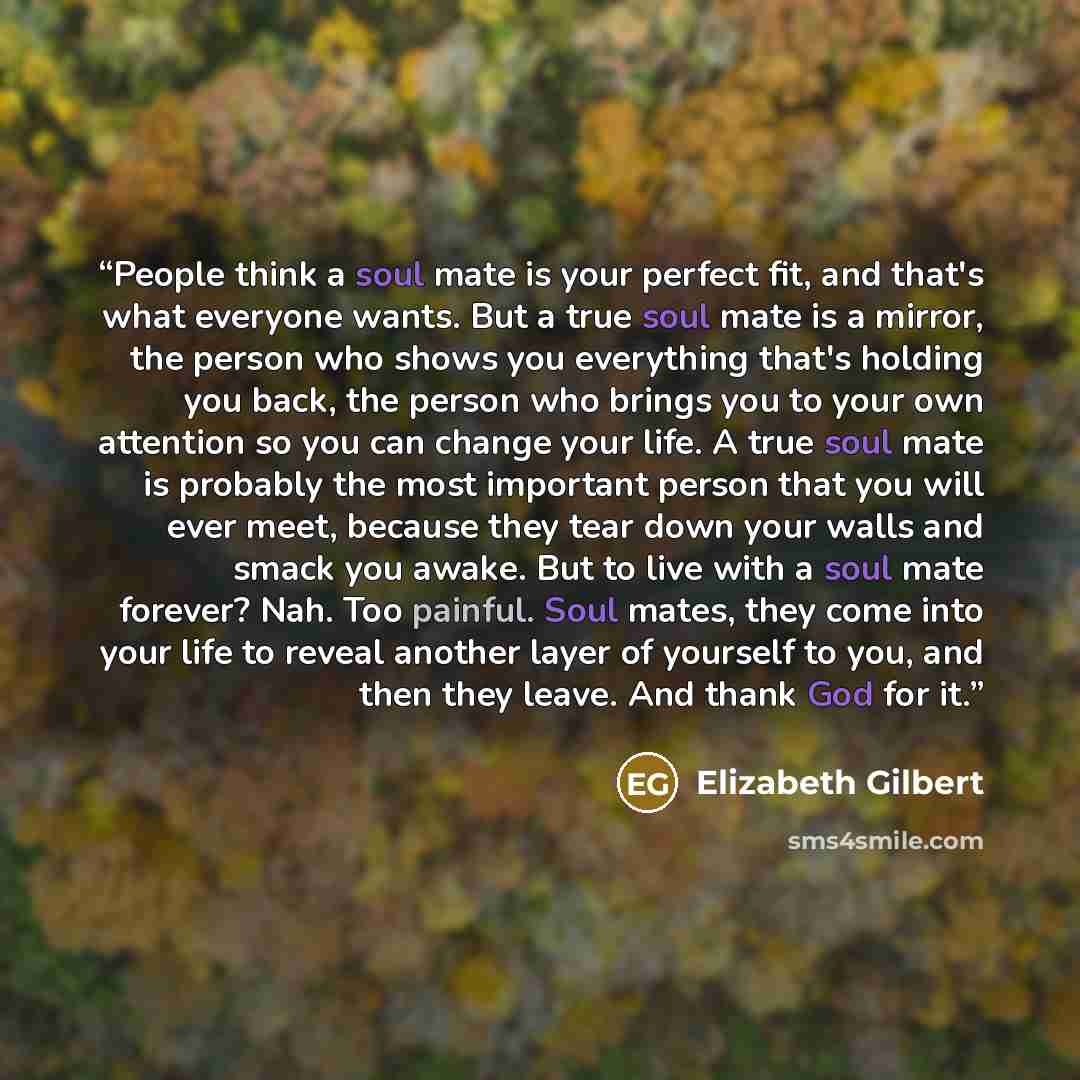 “People think a soul mate is your perfect fit, and that's what everyone wants. But a true soul mate is a mirror, the person who shows you everything that's holding you back, the person who brings you to your own attention so you can change your life. A true soul mate is probably the most important…” quote by Elizabeth Gilbert