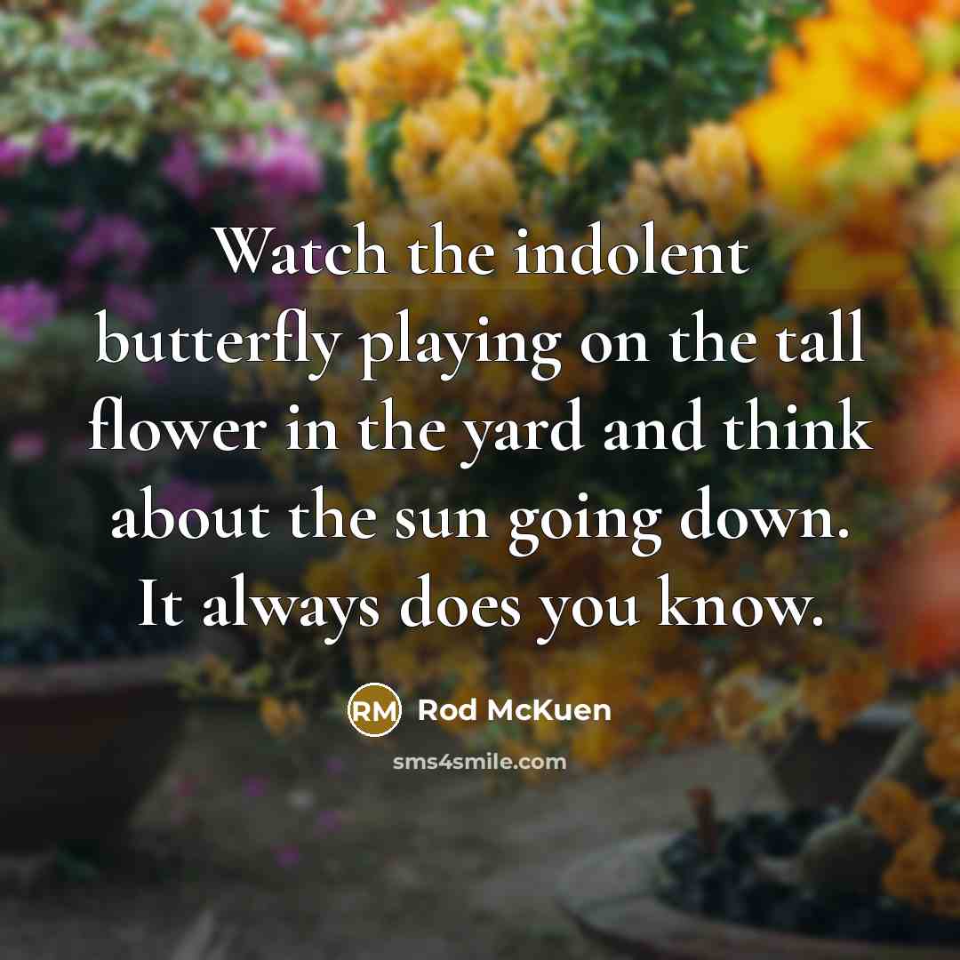 “Watch the indolent butterfly playing on the tall flower in the yard and think about the sun going down. It always does you know.” quote by Rod McKuen