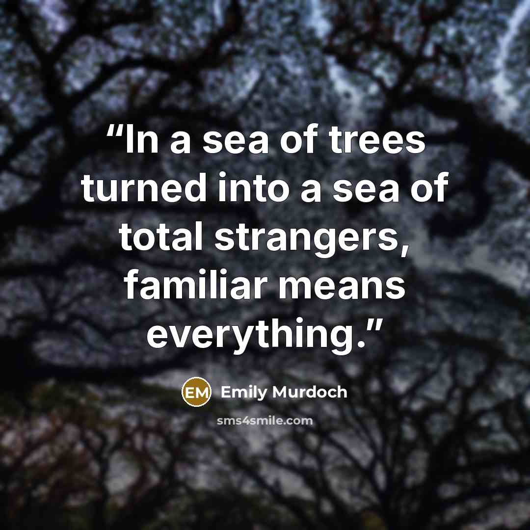 “In a sea of trees turned into a sea of total strangers, familiar means everything.” quote by Emily Murdoch