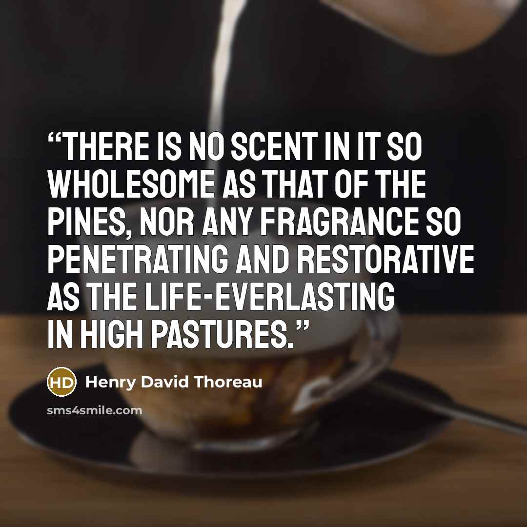 “There is no scent in it so wholesome as that of the pines, nor any fragrance so penetrating and restorative as the life-everlasting in high pastures.” quote by Henry David Thoreau