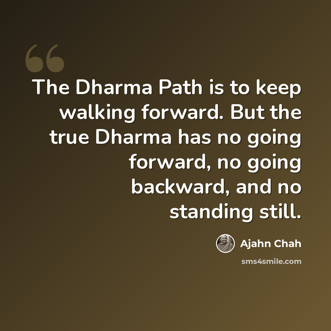 “The Dharma Path is to keep walking forward. But the true Dharma has no going forward, no going backward, and no standing still.” quote by Ajahn Chah