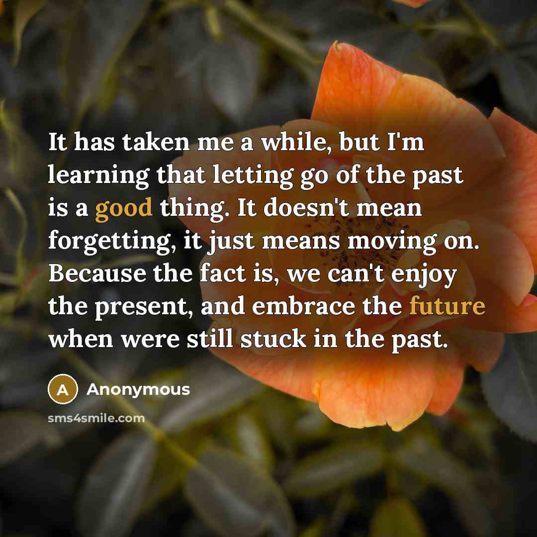 “It has taken me a while, but I'm learning that letting go of the past is a good thing. It doesn't mean forgetting, it just means moving on. Because the fact is, we can't enjoy the present, and embrace the future when were still stuck in the past.” quote by Anonymous