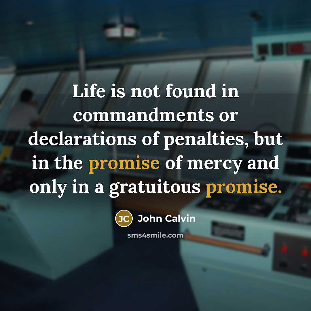 “Life is not found in commandments or declarations of penalties, but in the promise of mercy and only in a gratuitous promise.” quote by John Calvin