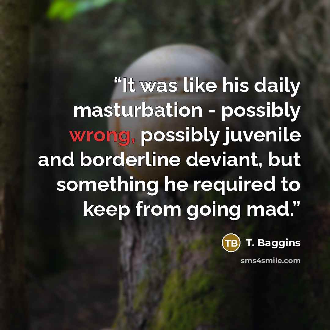 “It was like his daily masturbation - possibly wrong, possibly juvenile and borderline deviant, but something he required to keep from going mad.” quote by T. Baggins