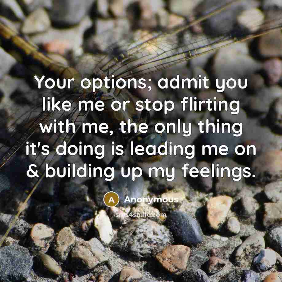 “Your options; admit you like me or stop flirting with me, the only thing it's doing is leading me on & building up my feelings.” quote by Anonymous