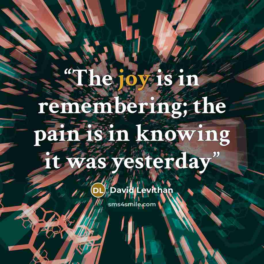 “The joy is in remembering; the pain is in knowing it was yesterday” quote by David Levithan