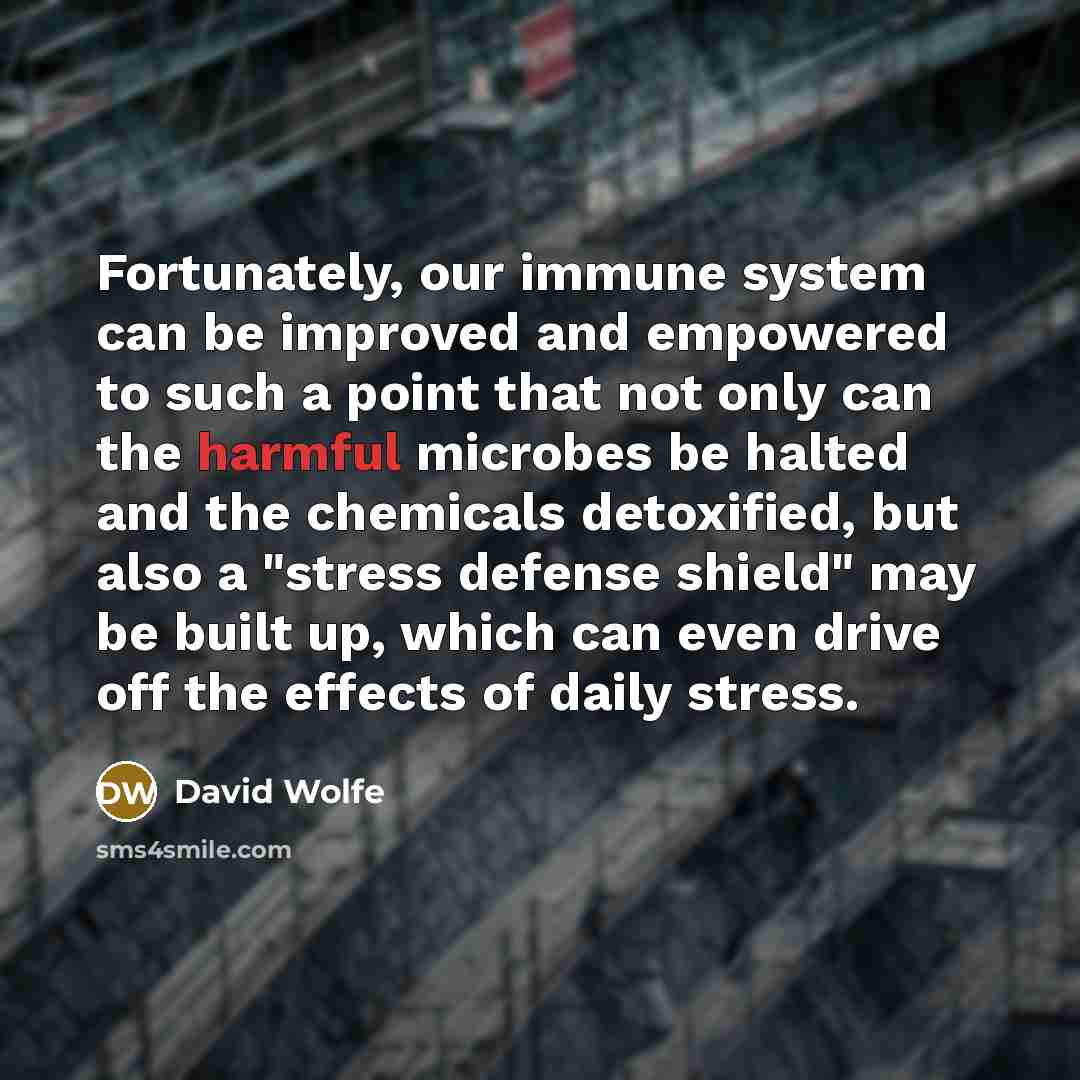 “Fortunately, our immune system can be improved and empowered to such a point that not only can the harmful microbes be halted and the chemicals detoxified, but also a "stress defense shield" may be built up, which can even drive off the effects of daily stress.” quote by David Wolfe