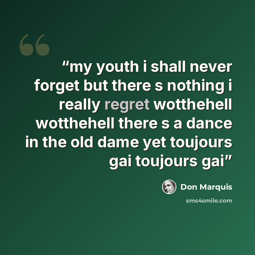 “my youth i shall never forget but there s nothing i really regret wotthehell wotthehell there s a dance in the old dame yet toujours gai toujours gai” quote by Don Marquis