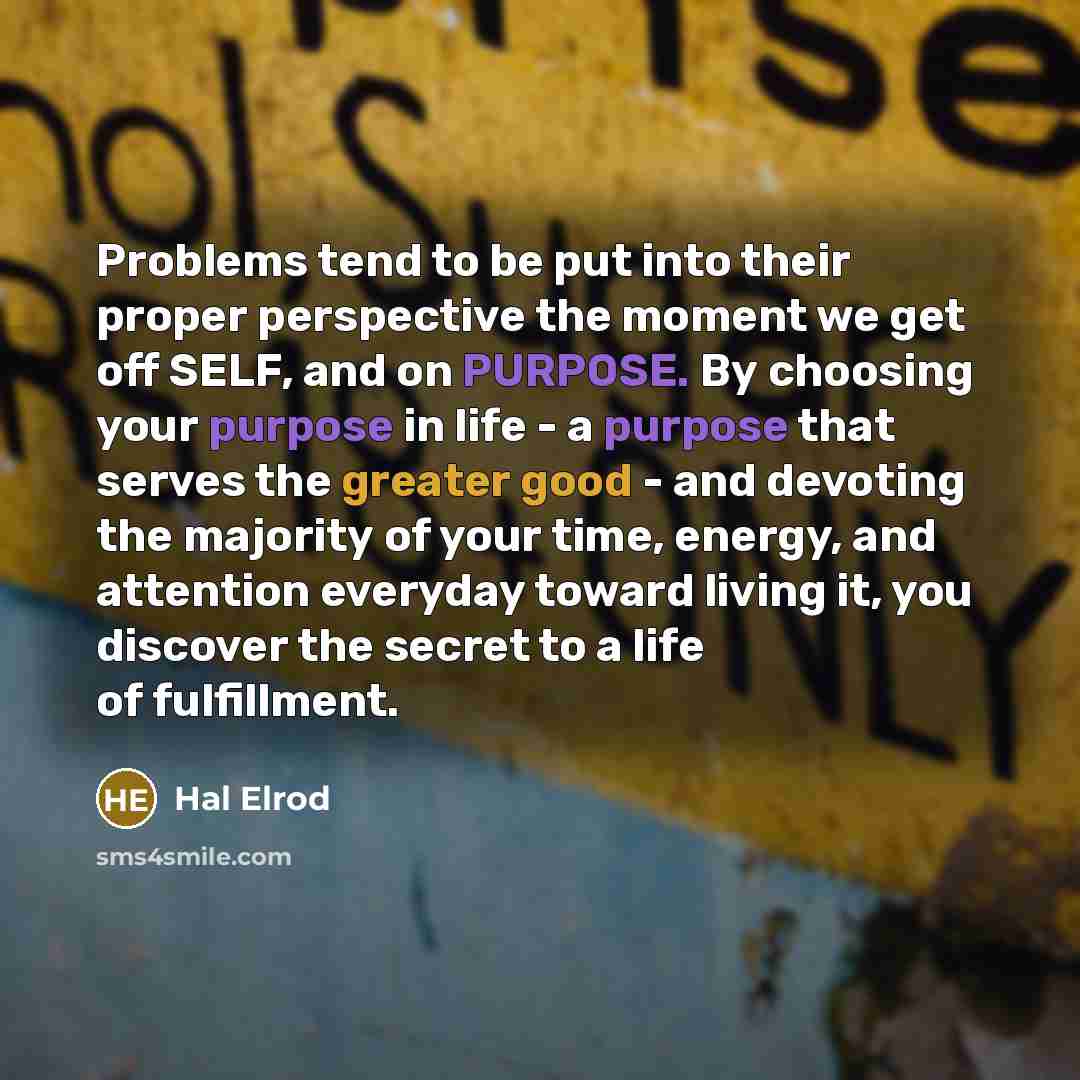 “Problems tend to be put into their proper perspective the moment we get off SELF, and on PURPOSE. By choosing your purpose in life - a purpose that serves the greater good - and devoting the majority of your time, energy, and attention everyday toward living it, you discover the secret to a life…” quote by Hal Elrod