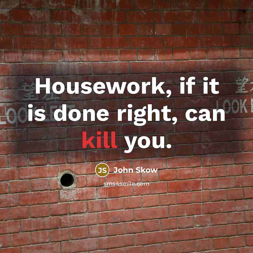 “Housework, if it is done right, can kill you.” quote by John Skow