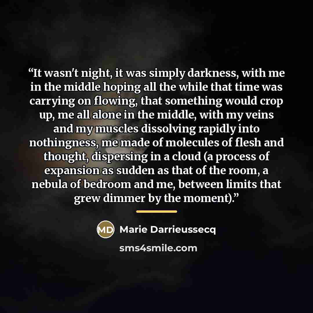 “It wasn't night, it was simply darkness, with me in the middle hoping all the while that time was carrying on flowing, that something would crop up, me all alone in the middle, with my veins and my muscles dissolving rapidly into nothingness, me made of molecules of flesh and thought, dispersing…” quote by Marie Darrieussecq