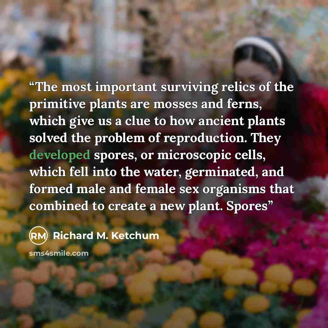 “The most important surviving relics of the primitive plants are mosses and ferns, which give us a clue to how ancient plants solved the problem of reproduction. They developed spores, or microscopic cells, which fell into the water, germinated, and formed male and female sex organisms that…” quote by Richard M. Ketchum