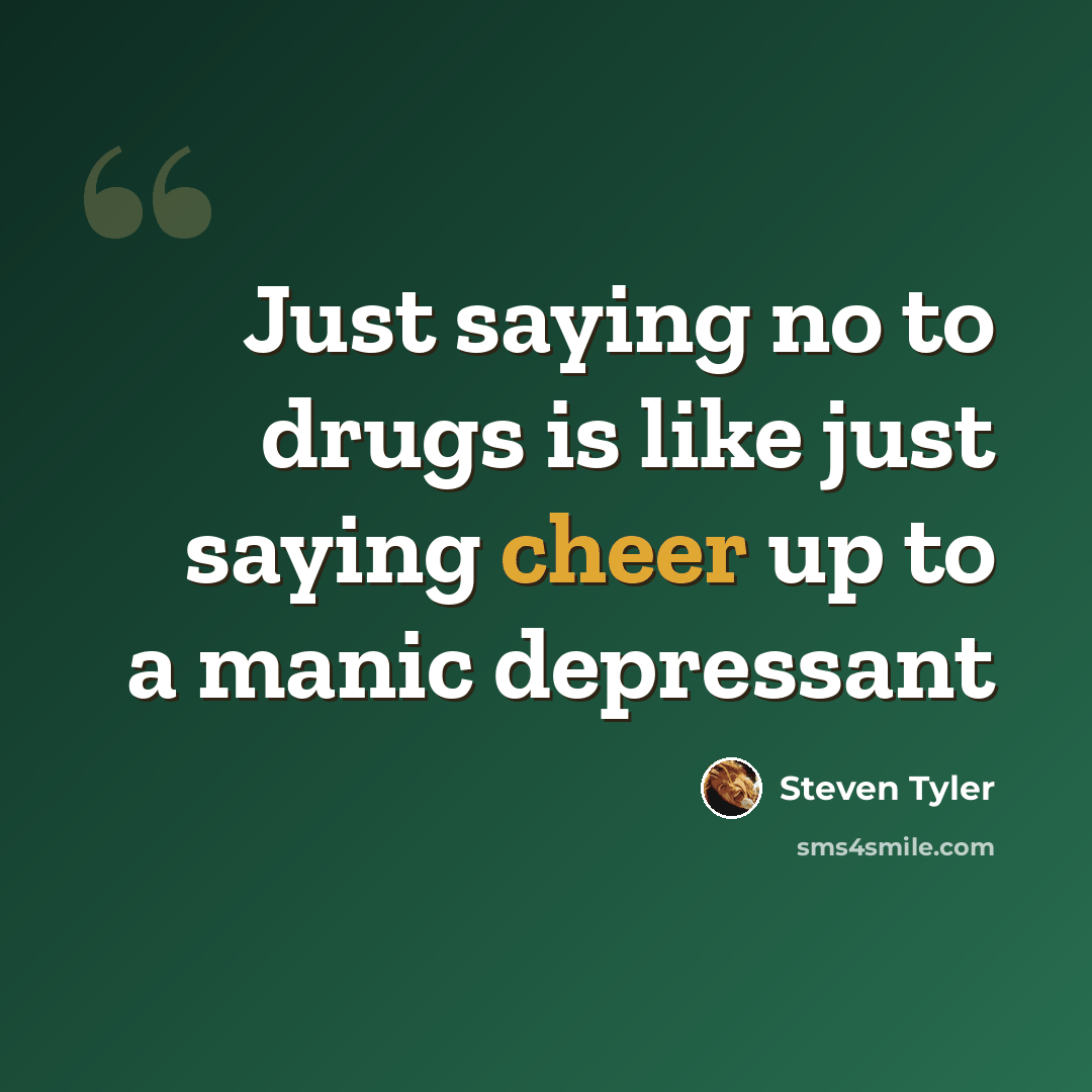 “Just saying no to drugs is like just saying cheer up to a manic depressant” quote by Steven Tyler