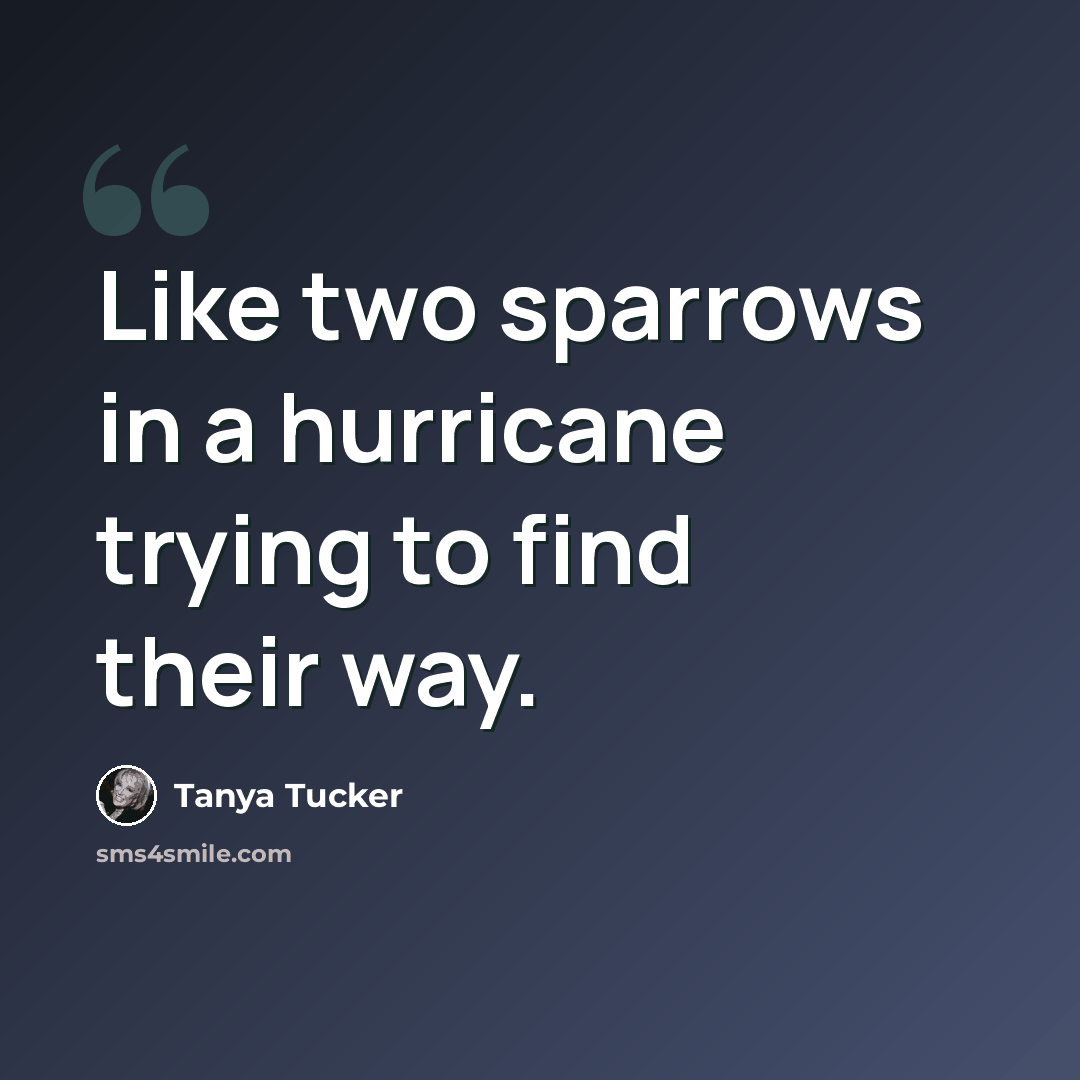 “Like two sparrows in a hurricane trying to find their way.” quote by Tanya Tucker